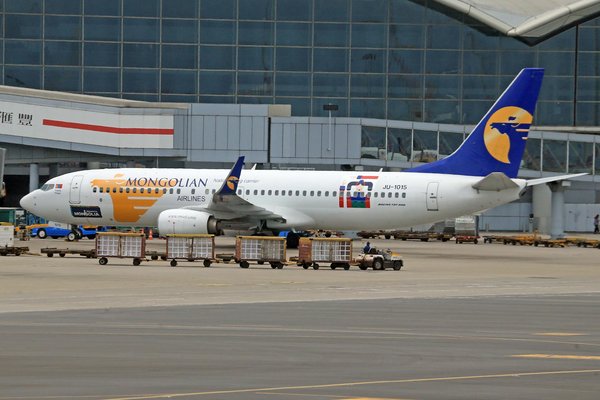 Explorez les campings les plus accueillants pour vos animaux sur la côte d'azur